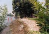 Liegewiese am Bodensee am Campingplatz Nell
