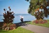 Liegewiese am Bodensee am Campingplatz Nell