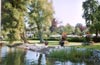 Liegewiese am Bodensee am Campingplatz Nell