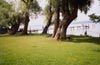 Liegewiese am Bodensee am Campingplatz Nell