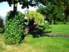 Liegewiese am Bodensee am Campingplatz Nell